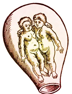Form Prints: Preformationism, 18th Century