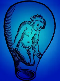 Form Prints: Preformationism, 18th Century