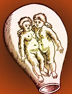 Form Prints: Preformationism, 18th Century