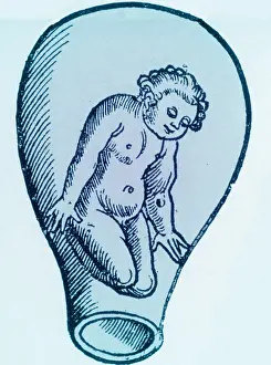 Form Prints: Preformationism, 18th Century