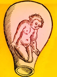 Form Prints: Preformationism, 18th Century