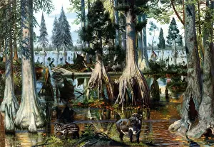 Cenozoic Prints: Prehistoric, Eocene Landscape