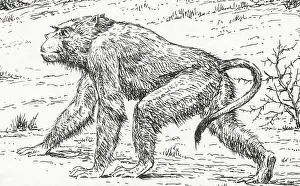 Prehistoric Prints: Prehistoric Extinct Animals