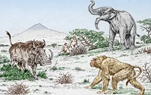 Beast Prints: Prehistoric Extinct Animals