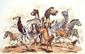 Primitive Prints: Prehistoric Horses