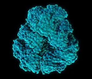 Engineering Prints: Protein Cage, Molecular Model