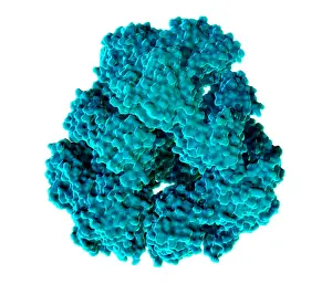 Engineering Prints: Protein Cage, Molecular Model