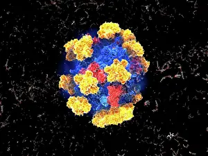 Generated Prints: Pyruvate dehydrogenase complex