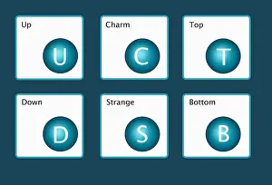 Subatomic Prints: Quarks, Illustration