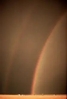 Bands Prints: Rainbow