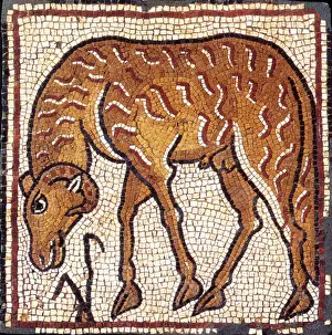 Mosaic Prints: Ram, Byzantine Mosaic, 6th Century