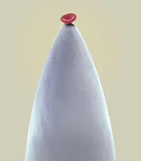 : Red blood cell on a needle, under a microscope (SEM)