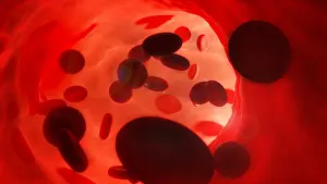 Flow Prints: Red Blood Cells