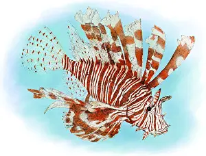Fish Prints: Red Lionfish