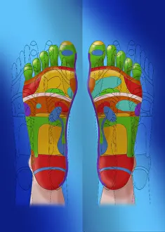 October Prints: Reflexology, Illustration