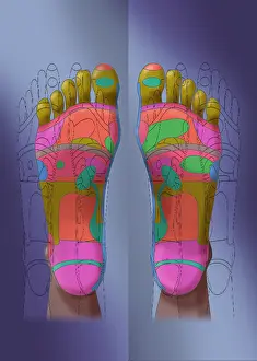 October Prints: Reflexology, Illustration