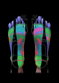October Prints: Reflexology, Illustration
