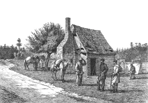 Newspapers Prints: The Reliable Contraband, 19th Century