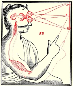 Visual Prints: Rene Descartes, Vision and External Stimuli