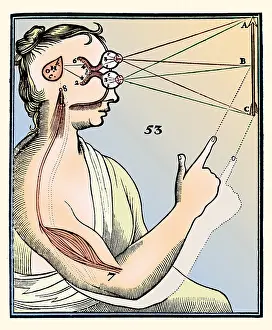 Figure Prints: Rene Descartes, Vision and External Stimuli