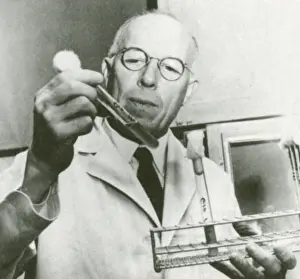Microbiologists Prints: Rene Dubos, French-American Microbiologist