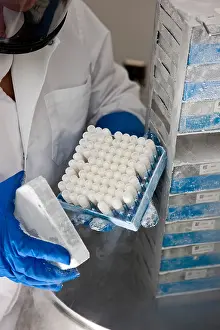 Research Prints: Researcher with Human Tissue Samples