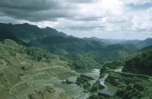 Landscape Prints: Rice Terrace