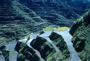 Production Prints: Rice Terraces
