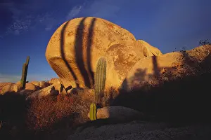 Nature Prints: Rock Formation & Cardon Cactus
