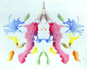 Thought Prints: Rorschach Test Card No. 10
