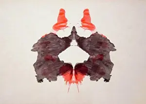 Thought Prints: Rorschach Test Card No. 2