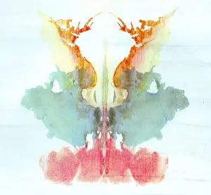 : Rorschach Test Card No. 9