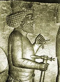 Weapon Prints: Royal Reception Relief, Persepolis, Iran