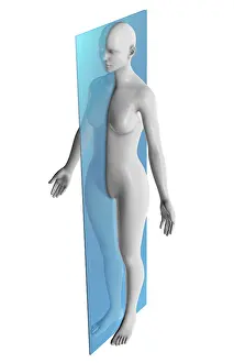 Figure Prints: Sagittal Plane