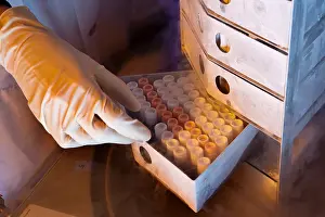 Storage Prints: Samples Stored in Liquid Nitrogen