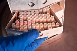 Storage Prints: Samples Stored in Liquid Nitrogen