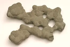 Rock Prints: Sandstone Conglomerate