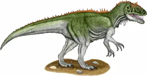 Trending: Saurophaganax