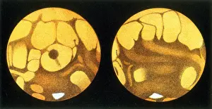 Planet Prints: Schiaparelli Mars Map, 1877-78