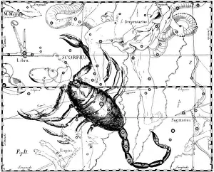 Asterism Prints: Scorpius Constellation, Zodiac Sign, Hevelius