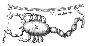 Asterism Prints: Scorpius Constellation, Zodiacal Sign