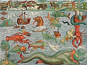 Sebastian Prints: Sea Monsters, 1544