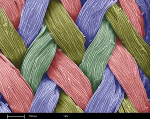 Nature, History, Science Prints: SEM, Fastskin Fabric