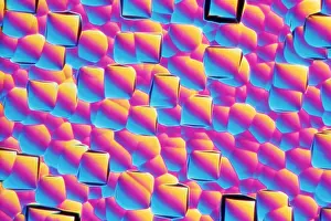 Chip Prints: Silicon Wafer