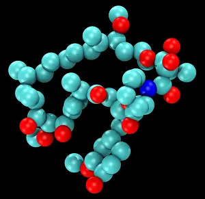 Generated Prints: Sirolimus (Rapamycin), Molecular Model