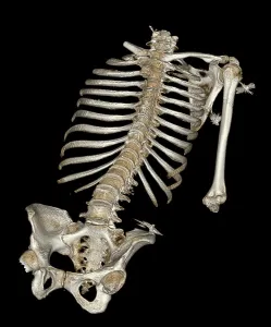Court Prints: Skeletal Reconstruction