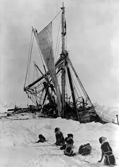: Sled Dogs Shackletons Endurance Ship trapped in Pack Ice, Antarctic Expedition