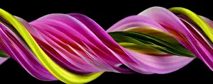 Pattern Prints: Slit-Scan Image of Dahlia Flower