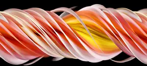 Pattern Prints: Slit-Scan Image of Dahlia Flower