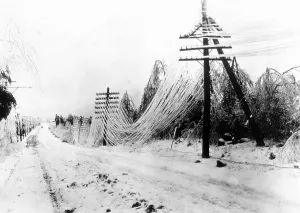 Strong Prints: Snow and Ice Damage